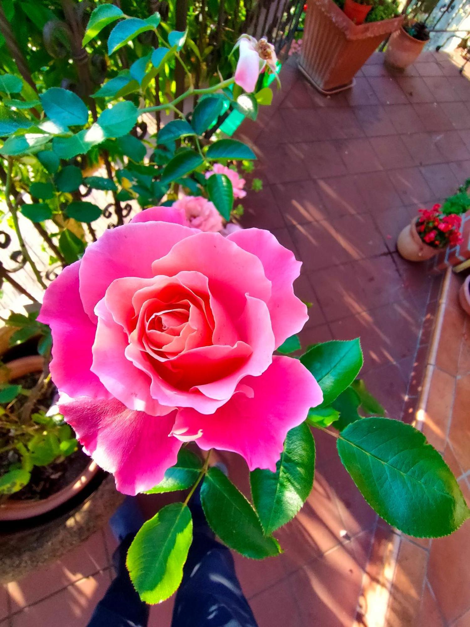 La Casa Del Sole Otel Sanremo Dış mekan fotoğraf